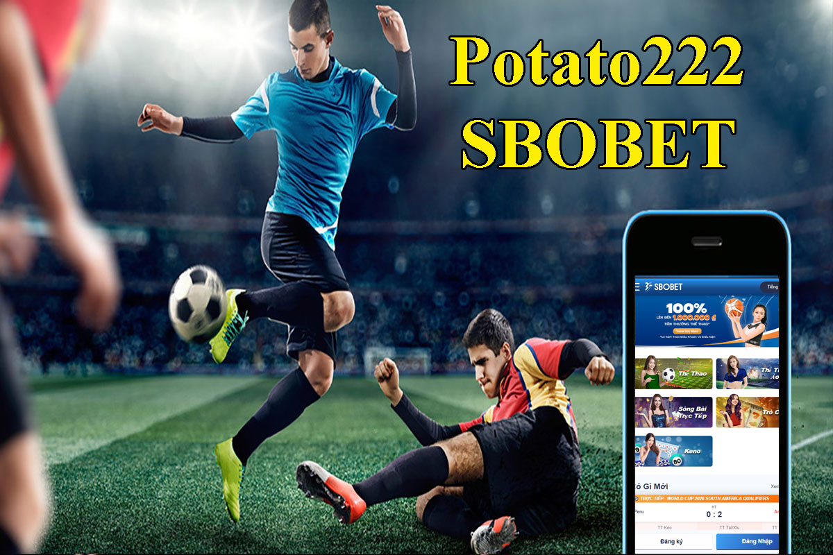 Potato222.com Cập nhật link login Sbobet mới nhất